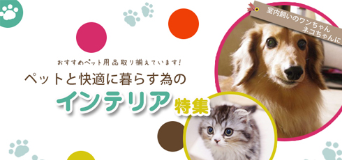 大分 DIY＆リフォームショップREROOM【ペット特集 滑り止め】